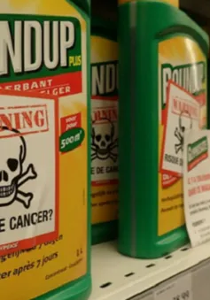 Nghị viện châu Âu bỏ phiếu cấm thuốc diệt cỏ Glyphosate