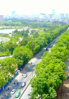 Thành phố Hà Nội sẽ tiếp tục lấy ý kiến về phương án giải tỏa 1.300 cây xanh trên đường Phạm Văn Đồng