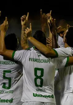 Chapecoense giành chiến thắng lịch sử tại Copa Libertadores