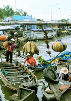 Cần Thơ đẩy mạnh phát triển du lịch sinh thái