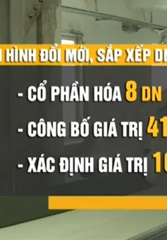 “Không chạy theo số lượng khi tái cơ cấu doanh nghiệp”