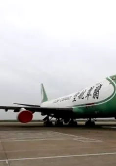 Đấu giá trực tuyến 2 máy bay Boeing 747 trên Taobao