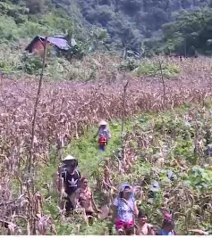 Định canh định cư tại Cao Bằng: Đầu tư cao, hiệu quả thấp