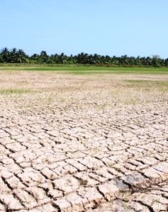 El Nino có thể quay lại trong năm nay