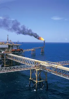 PetroVietnam thu hàng nghìn tỷ tiền lãi ngân hàng