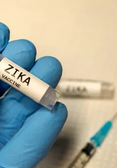 Mỹ: Thử nghiệm lâm sàng vaccine Zika giai đoạn 2 trên người