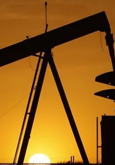 Giá dầu giảm mạnh xuống mức thấp nhất từ đầu năm