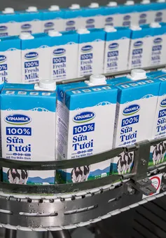 Vinamilk tiếp tục khẳng định vị trí dẫn đầu thị trường sữa tươi tại Việt Nam