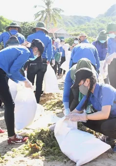 Đoàn viên thanh niên Bình Định tình nguyện làm sạch môi trường biển