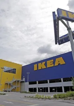 EU điều tra các thỏa thuận thuế tại Hà Lan của IKEA