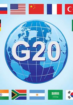 G20 cảnh báo về chủ nghĩa bảo hộ thương mại