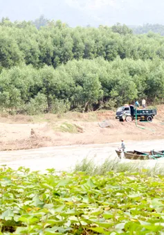 Tái diễn nạn khai thác cát trái phép tại Khánh Hòa