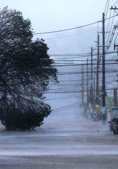 Sự tàn phá của bão Irma tại Puerto Rico