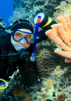 Indonesia được trao giải Địa điểm lặn tuyệt vời nhất thế giới