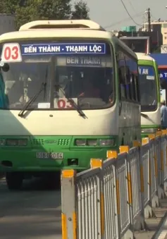 TP.HCM miễn phí xe bus cho người từ 70 tuổi trở lên