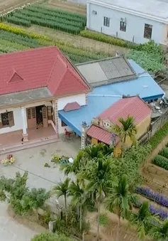 Miền quê của những vườn rau hạnh phúc