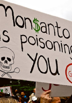 Hàng nghìn nông dân Mỹ kiện Monsanto vì thuốc diệt cỏ gây hại