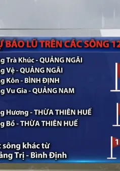 Mưa lớn tiếp diễn từ Hà Tĩnh đến Quảng Ngãi, cảnh báo ngập lụt nghiêm trọng