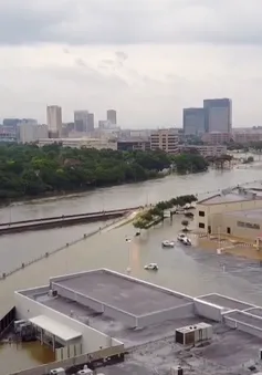 Nguyên nhân ngập lụt nghiêm trọng tại Houston, Mỹ