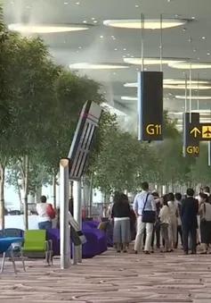 Nhà ga "không nhân viên" ở sân bay Changi (Singapore) khai trương trong năm nay