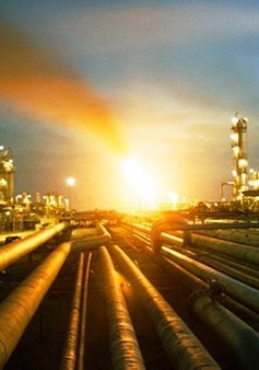 Vai trò của OPEC trong việc bù đắp nguồn cung dầu