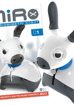 Robot thú cưng Miro làm bạn với người già cô đơn