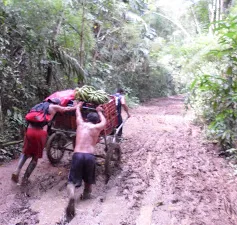 Peru: Lũ bùn càn quét qua thủ đô Lima, ít nhất 15 người bị thương