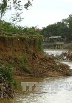 Gia tăng tình trạng mất đất do sạt lở ven sông Cái