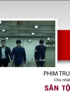 Phim đặc sắc trên VTV8