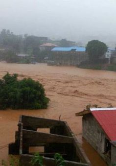 Sierra Leone khẩn trương cứu hộ nạn nhân vụ lở bùn kinh hoàng