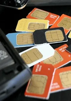 19 triệu sim kích hoạt sẵn đã bị thu hồi