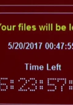 Tin tặc chỉ kiếm được 70.000 USD sau vụ tấn công mạng bằng WannaCry