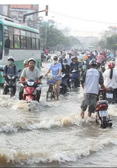 Triều cường gây ngập ở nhiều khu vực tại ĐBSCL