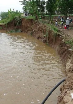 Khó vận động người dân vùng sạt lở Đồng Tháp vào cụm dân cư