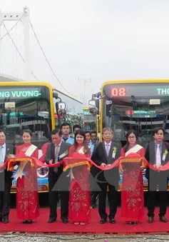 Đà Nẵng đưa vào hoạt động thêm 2 tuyến xe bus trợ giá