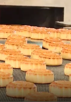 Bánh Trung thu đảm bảo an toàn thực phẩm với dây chuyền bán tự động