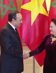 "Maroc sẵn sàng là cửa ngõ để Việt Nam tăng cường quan hệ với châu Phi"