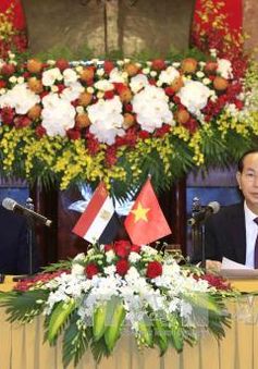 Chủ tịch nước Trần Đại Quang hội đàm với Tổng thống Ai Cập Abdel Fattah Al Sisi