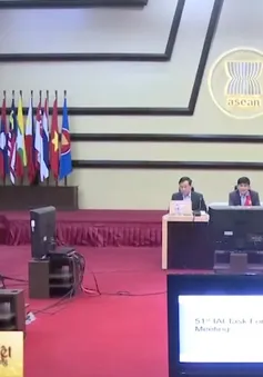 Việt Nam nỗ lực thúc đẩy sáng kiến liên kết ASEAN