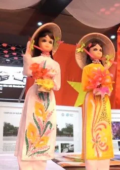 Sắc màu văn hóa Việt Nam tại UAE