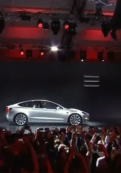 Tesla hỗ trợ nâng cấp xe cho người dân bị ảnh hưởng bão Irma