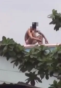 Làm gì khi gặp người ngáo đá?