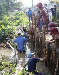 Khẩn trương gia cố đê bao bị vỡ tại Vĩnh Long