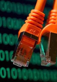 Internet trên toàn cầu có thể "sập" kết nối trong 48 giờ tới