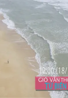 "Gió vẫn thổi từ biển" (12h hàng ngày từ 18/10)