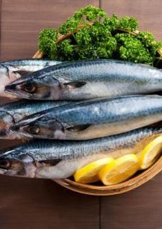 Ăn cá giúp chậm quá trình lão hóa cơ thể