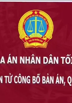 Công khai bản án trên trang chủ của tòa án được dư luận ủng hộ manh mẽ