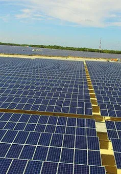 Khánh thành nhà máy điện mặt trời 35MW đầu tiên đi vào hoạt động tại Việt Nam