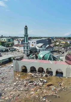 “Lực bất tòng tâm” tại tâm chấn động đất, sóng thần Indonesia