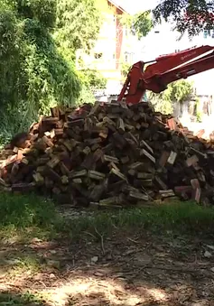 Nhiều đoạn thành Di tích Quốc gia đặc biệt Cổ Loa bị xâm hại
